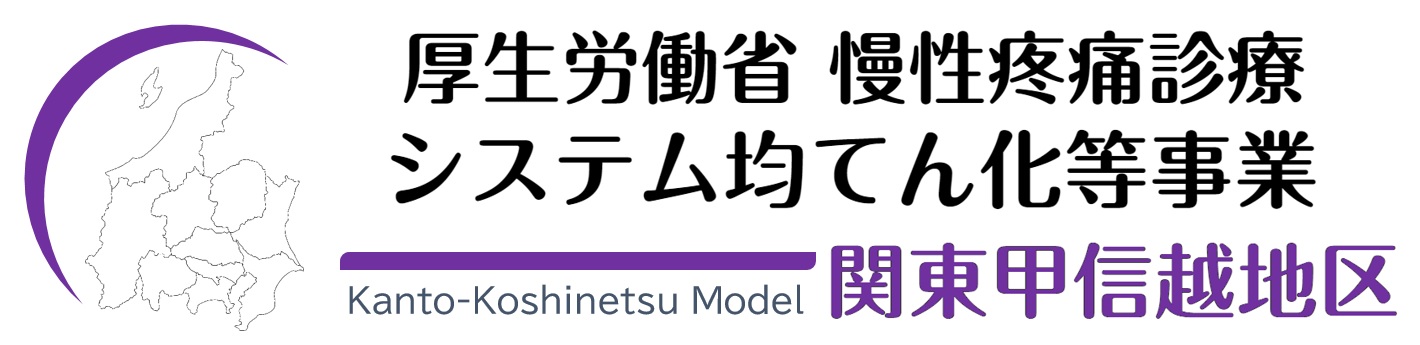 関東甲信越地区｜厚生労働省 慢性疼痛診療システム均てん化等事業